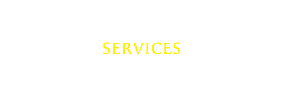 事業内容